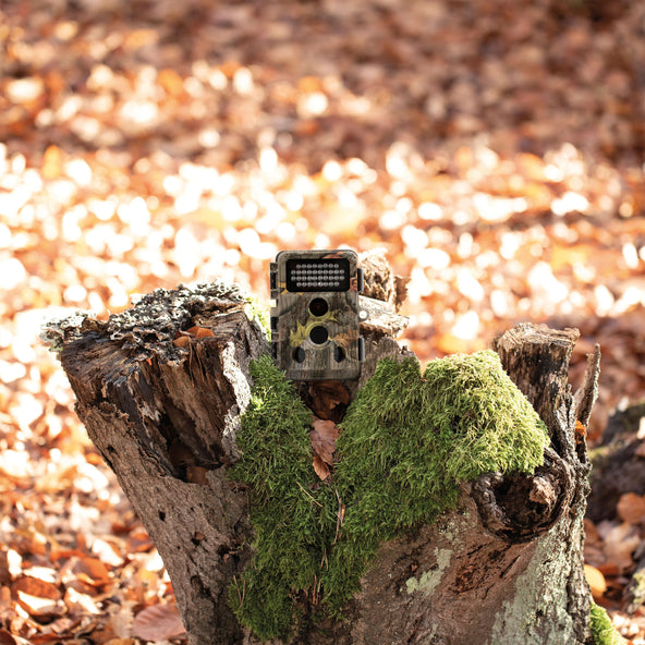 Wild camera WK-400HDW – Full HD, night vision & WiFi